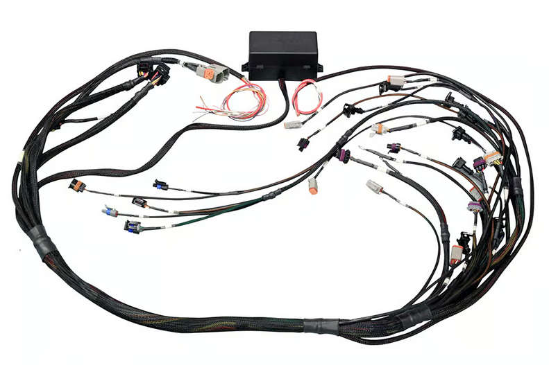 Elite 2000/2500 GM GEN III LS1 & LS6 non DBW Terminated Harness