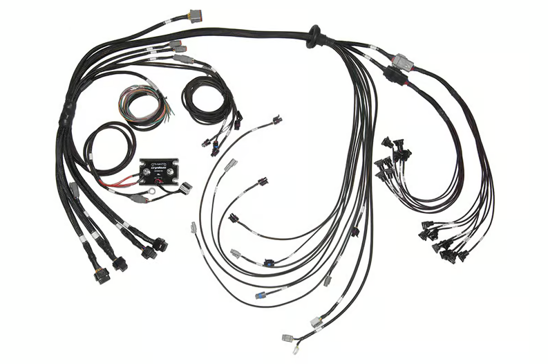 Elite 2500 & REM 16 Inj V8 Small/Big Block GM, Ford & Chrysler Terminated Harness