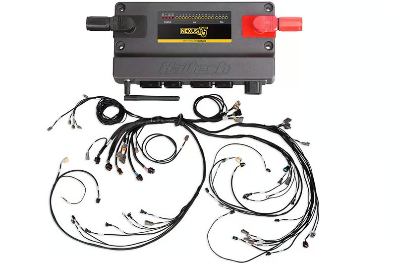 Nexus R5 + LSx Non DBW Terminated Harness