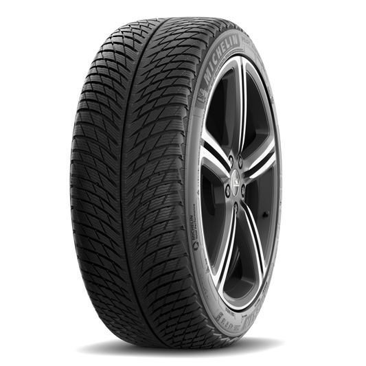 Michelin Pilot Alpin 5 315/30R21 109V XL