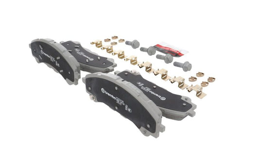 Photo - Close Up