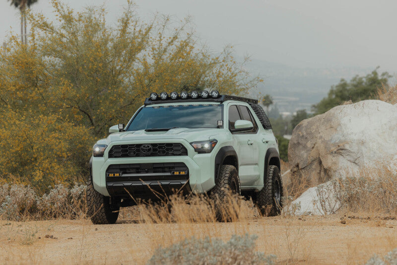 DV8 Offroad 25-26 Toyota 4Runner Exterior Window Molle for DV8 Offroad Roof Rack - Driver