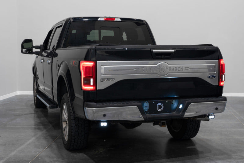 Diode Dynamics 15-20 Ford F-150 C1 Sport Stage Series Reverse Light Kit