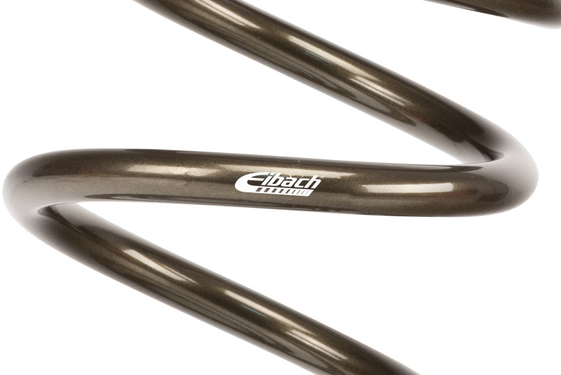Eibach Platinum Max Load Rear Spring