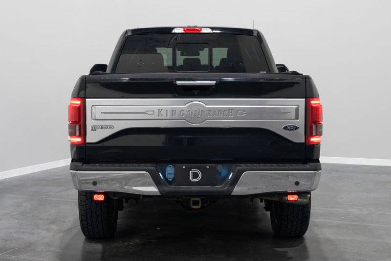 Diode Dynamics 15-20 Ford F-150 C2 Pro Stage Series Reverse Light Kit