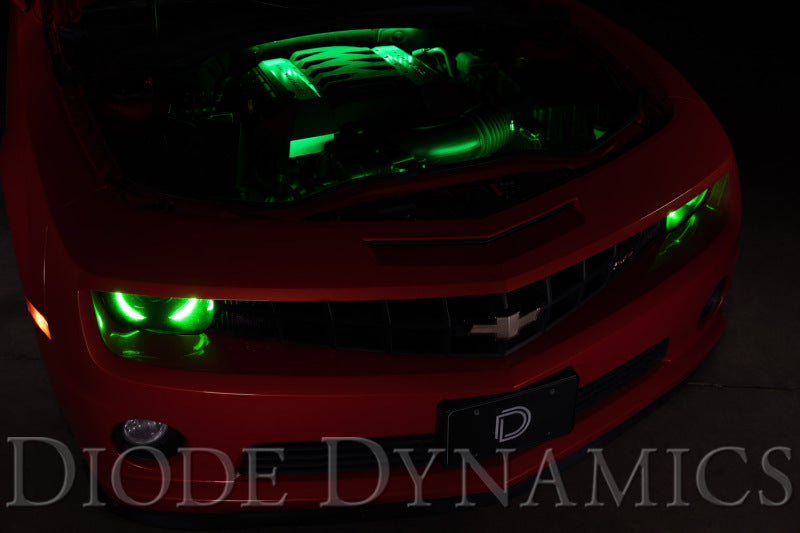 Diode Dynamics RGBW Engine Bay Strip Kit 4pc Multicolor