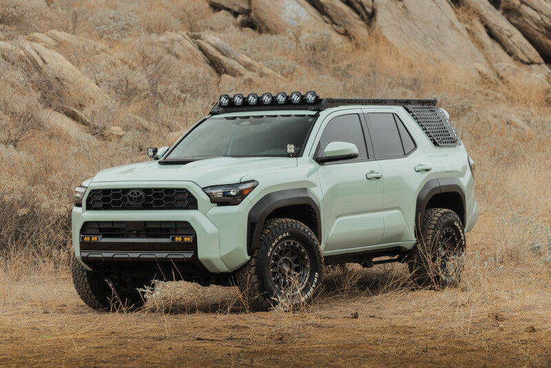 DV8 Offroad 25-26 Toyota 4Runner Exterior Window Molle for DV8 Offroad Roof Rack - Driver