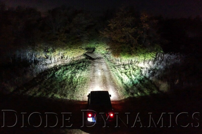 Diode Dynamics SS3 Max Type F2 Kit ABL - White SAE Fog