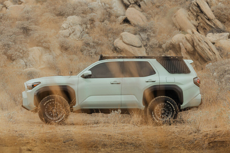 DV8 Offroad 25-26 Toyota 4Runner Exterior Window Molle for DV8 Offroad Roof Rack - Driver