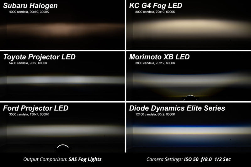 Diode Dynamics 19-22 Toyota RAV4 Elite Series Add-On Fog Lamp Kit - White