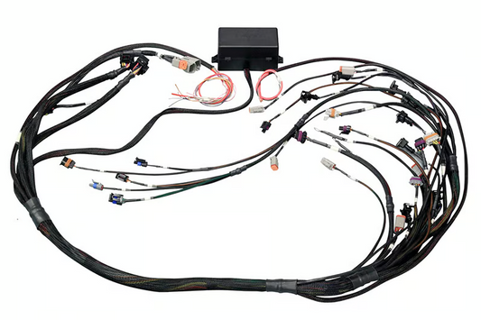 Elite 2000/2500 GM GEN III LS1 & LS6 non DBW Terminated Harness