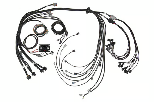 Elite 2500 & REM 16 Inj V8 Small/Big Block GM, Ford & Chrysler Terminated Harness