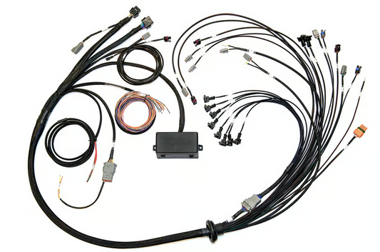 Elite 2500 V8 Small/Big Block GM, Ford & Chrysler Terminated Harness