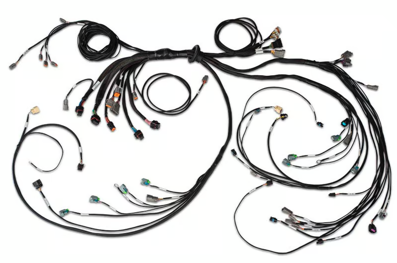 Nexus R5 LSx Non DBW Terminated Harness