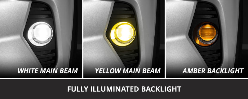 Diode Dynamics 19-22 Toyota RAV4 Elite Series Add-On Fog Lamp Kit - White