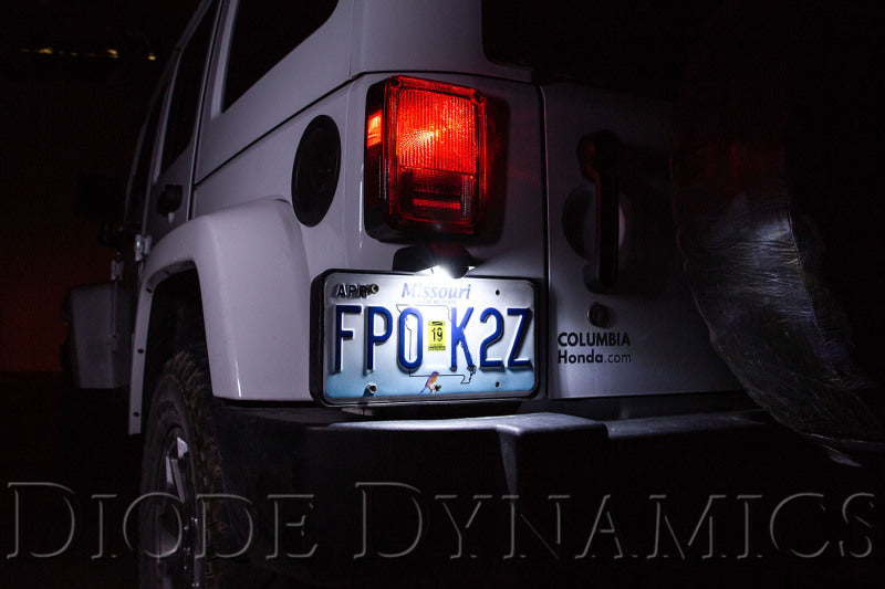 Diode Dynamics 194 LED Bulb SMD2 LED Warm - White (Single)