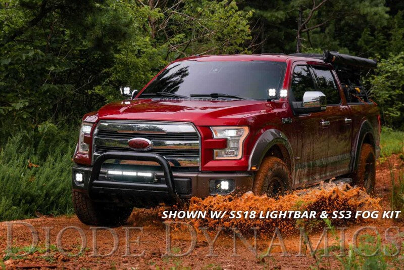 Diode Dynamics 15-20 Ford F-150/Raptor Ditch Light Brackets