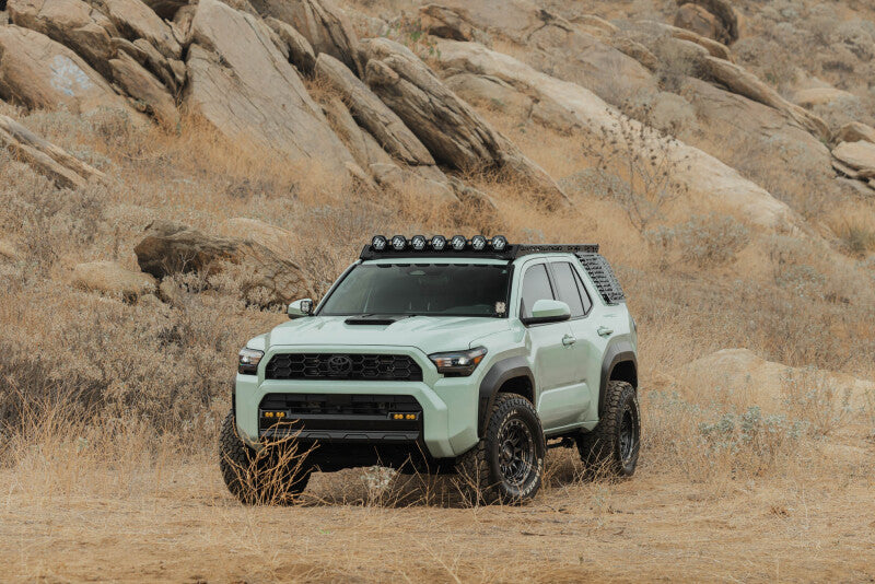 DV8 Offroad 25-26 Toyota 4Runner Exterior Window Molle for DV8 Offroad Roof Rack - Driver
