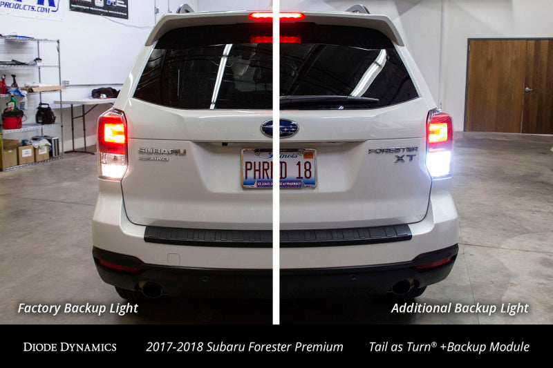 Diode Dynamics 17-18 Subaru Forester Premium (USDM) Tail as Turn +Backup Module Stage 1