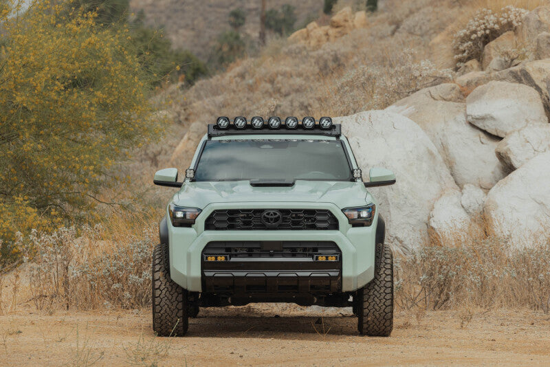 DV8 Offroad 25-26 Toyota 4Runner Exterior Window Molle for DV8 Offroad Roof Rack - Driver