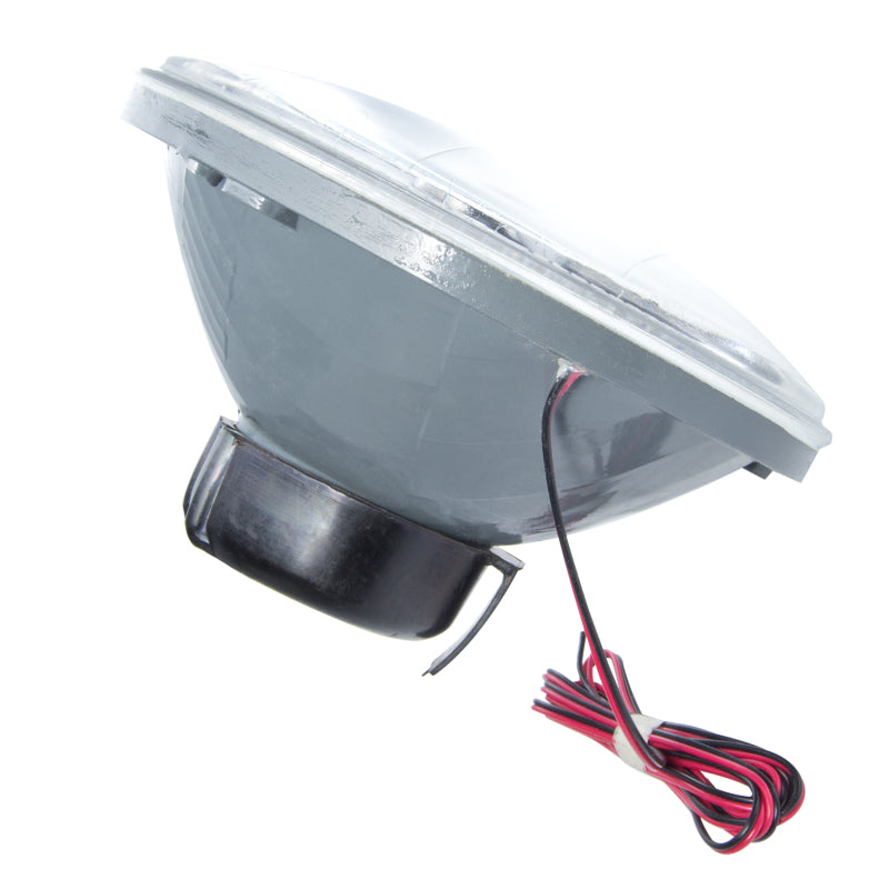 Oracle Pre-Installed Lights 7 IN. Sealed Beam - UV/Purple Halo